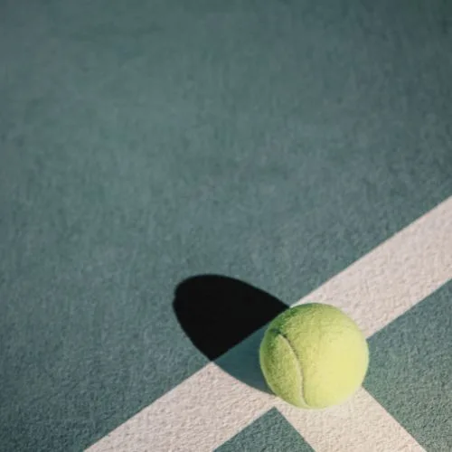 Court to help explain Pickleball Tips